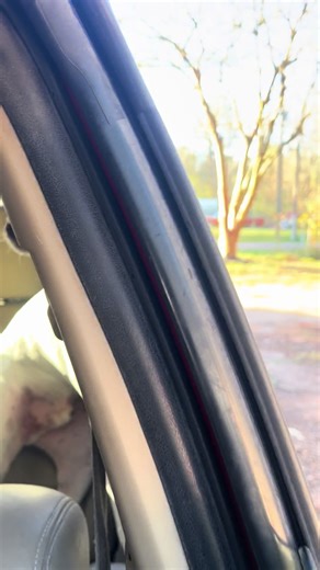 Dorsey AAz (@dorsey.aaz)’s videos with original sound - Dorsey AAz