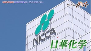 身近なところで大活躍の“界面活性剤” 繊維加工やクリーニング用薬剤では国内トップシェア 日華化学｜知られざるガリバー～エクセレントカンパニーファイル～|テレ東BIZ