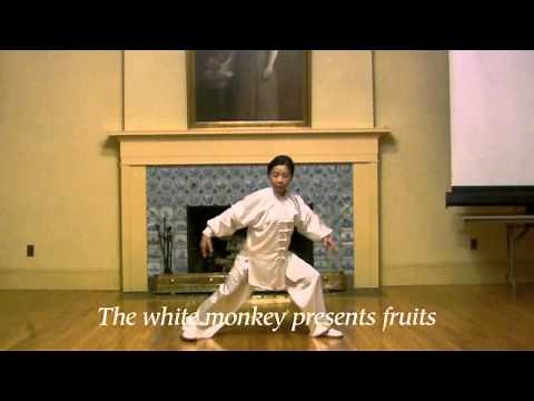 Swimming Dragon Tai Chi Demo