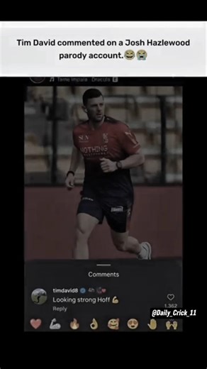 Tim David's Comment on Hazlewood Parody Unexpected#timdavid#shortsfeed