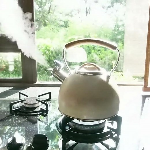 Whistling kettle / teapot - Shorts