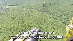 6.2K views · 75 reactions | Fall foliage and fishing are the perfect...