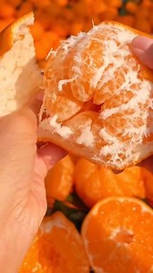 108K views · 1.9K reactions | 10 Unique Food Facts That Will Amaze You!  #reelsfb #foodfacts #food #facts #amazingfacts | Facts Corridor | Facebook