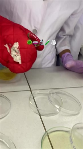 A Day in the Microbiology Lab