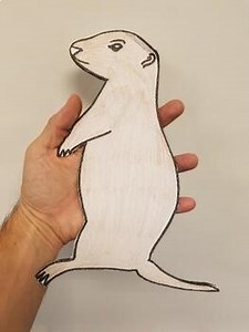 A Prairie Guard Dog story booklet