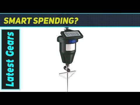 Skunk Repellent: The Ultimate Outdoor Solution