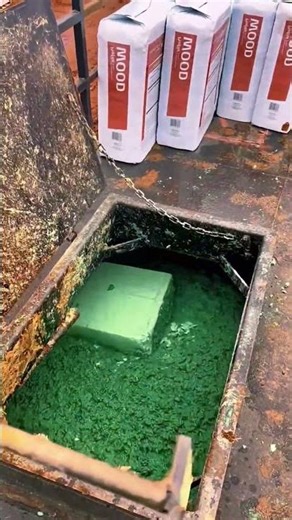 Wasteland transforms into greenery within days 🌿