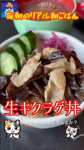 「生キクラゲ丼」 #キクラゲ #木耳 #簡単レシピ #まいにちごはん #料理 #朝ごはん #自炊 #cooking #レシピ #レシピ動画 #おうちごはん #朝丼 #料理動画 #節約料理