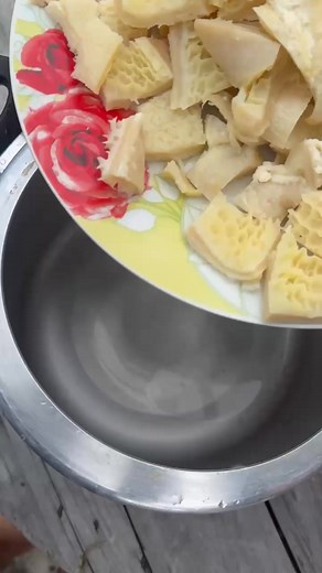 En Sonsoneña nos encanta descubrir nuevas formas de disfrutar lo nuestro 💛 Hoy con @suculento.co les traemos este mondongo apanado, con su hogaito casero y la compañía que nunca falla: una deliciosa arepa Sonsoneña 🌽🔥 ¡Una combinación para repetir sin pensarlo dos veces! 😋 | Arepas Sonsoneña