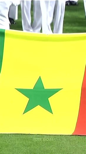 Senegal's 2002 World Cup Victory Over France