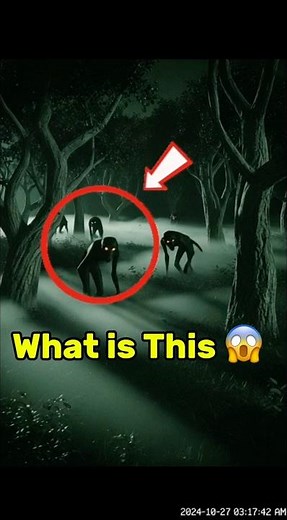 Primary: Strange Forest Creatures Caught on CCTV | Real Night Vision Footage