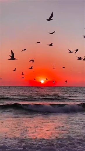 Video di cal90 (@cal90010) con Il Mio Riflesso - Malerba