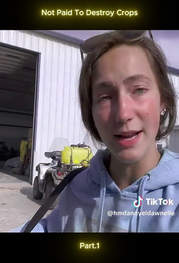 Not Paid To Destroy Crops #laurafarms #farmer #farmers #farmerlife #farmersdaughter #farming #combine #agriculture #education #harvest #tractors #farm #farmlife #field