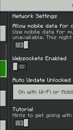 Freind in Minecraft setting ❤️ #minecraft