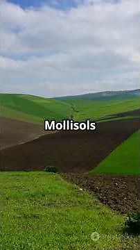 Mollisols: The world’s most fertile soils #SoilScience #GrasslandSoil #SoilHealth #Agriculture