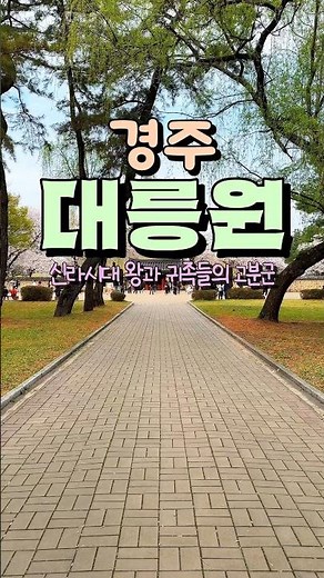경주 데이트 코스 추천 경주 대릉원 포토존 천마총 ✨