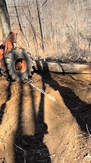 96K views · 1.1K reactions | Logger work with timberjack 漢蝹❤️ . .​#loggers #workhardplayhard #logger #woodworking #Woodwork #logging #timberjack @top fans | Sander Young | Facebook