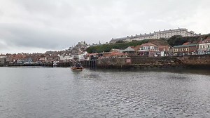 11K views · 425 reactions | Sailing back into Whitby Harbour just now with Whitby Coastal Cruises (Yellow Boats) after another successful Whale watching trip | Scarborough Porpoise | Facebook