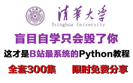 【整整300集】清华大佬168小时讲完的Python教程，包括基础入门、实战案例项目，全程干货无废话！学完变大佬！这还学不会，我退出IT圈！