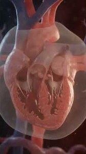 Why Is This Unborn Baby Severely Swollen? | Fetal Hydrops