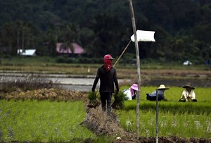 Malaysia kaji semula pendekatan terhadap pertanian - Mustapa