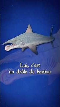 The Most Terrifying Extinct Creatures 🌍