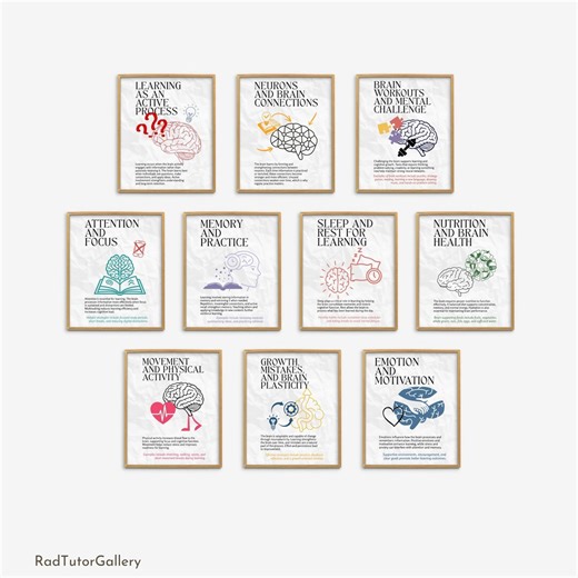 How the Brain Learns, Brain Fun Facts Classroom Poster Set, Science Classroom Decor, Biology Class Posters, Fun Science, Middle High School - Etsy Australia