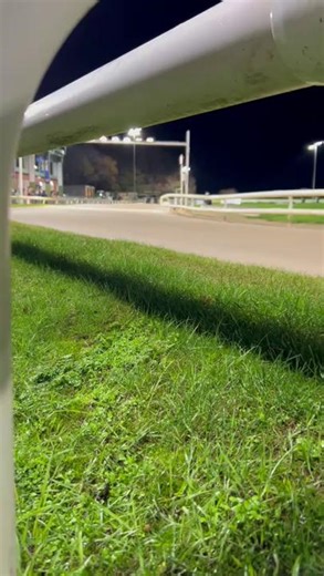 1.2K views | Right on top of the action. Right where the excitement hits. Experience race nights at Nottingham up close and personal. Don’t miss out. Book your next race night today. https://www.nottingham-greyhounds.co.uk/ #NottinghamGreyhounds #GreyhoundRacing #UpCloseAction | Nottingham Greyhound Stadium | Facebook