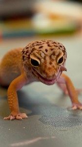 It's time for 60 Seconds of Science and this week is Mrs. Binks time to shine! #60SecondsofScience #SaskScience | Saskatchewan Science Centre