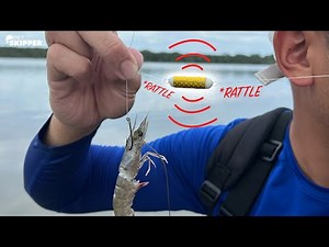 Does NOISE attract more fish? Testing RATTLING Sinkers with LIVE bait!