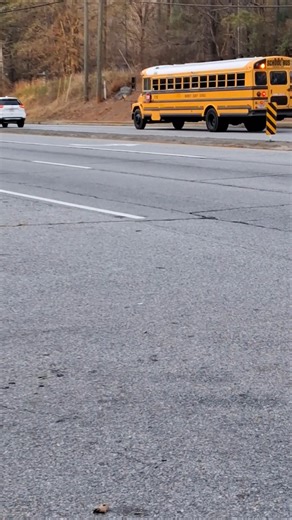 2002 Thomas FS65 Bus 22198(Remastered)