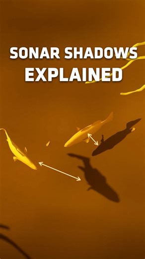 Humminbird on Instagram: "✍️ Sonar shadows explained. #Humminbird #SideImaging #MSI #FishFinder #fishingsonar"