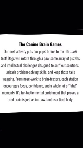 Today was full of brain games. Mental engagement is often overlooked as a critical component to keeping your dog happy. Enrich University at Fetch is full of challenges to keep your dog stimulated and engaged. | Fetch Dog Resort