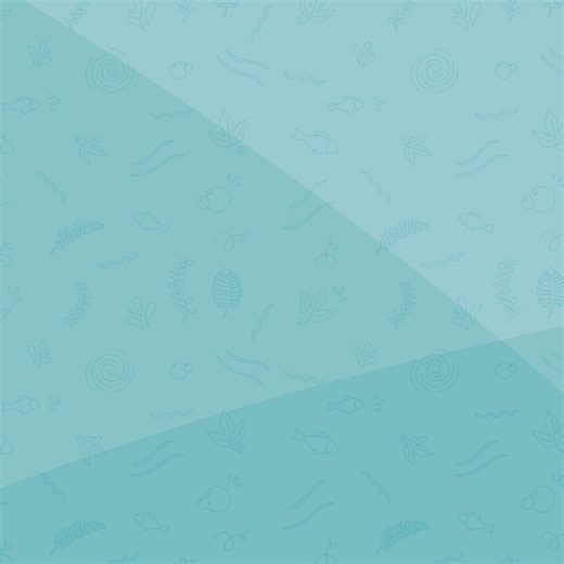 National Aquarium of NZ on Instagram: "Still searching for that perfect gift? The National Aquarium store is brimming with wonder! From ocean-inspired treasures to thoughtful keepsakes, you’ll find something special for every nature lover. Come explore in store, or order online and let the sea surprise you! Online store: https://bit.ly/4rXH9XD"