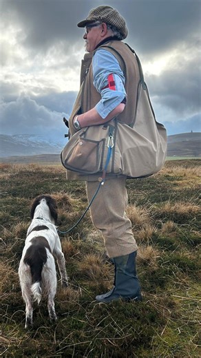 David Templar on Instagram: "Live every day take every opportunity never say no try and enjoy it especially Dogs this is the fund site the rest is work a little bit long, but lots of pictures enjoy#gundogtraining #workingdogs #dogs #gamekeeper# Countrysports"