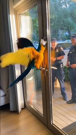 Format it as a screenplay (proper script formatting)Turn it into a short film