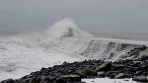 Creepy and Scary Nature Clips
