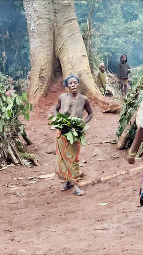 At village festivals, the Baka pygmies perform energetic dances accompanied by drums, singing, and clapping. The women and men dance in a circle, celebrating nature, hunting, and the unity of the group. #inspirationofafrica | Quim Fàbregas