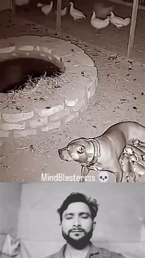 RizwanUK06 on Instagram: "Japan Turns Footsteps Into Electricity ⚡👣 | Future Technology That Will Blow Your Mind 🤯 Socho agar chalna bhi bijli bana de! 😲 Japan ne piezoelectric technology se ye impossible kaam possible kar dikhaya hai ⚡ Tokyo ke Shibuya Station par roz 2.4 million+ log chalte hain, aur unke footsteps se energy generate hoti hai jo LED lights aur ticket gates ko power deti hai 💡🚉 How it works: 👣 Har step se pressure banta hai ⚙️ Special tiles us pressure ko electricity me c