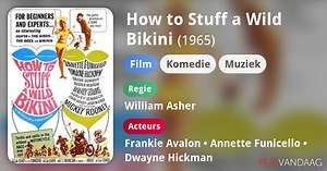 How to Stuff a Wild Bikini (1965)