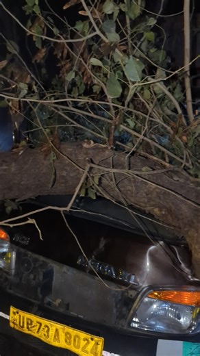 accident of late night ,ped gir gaya daala pe