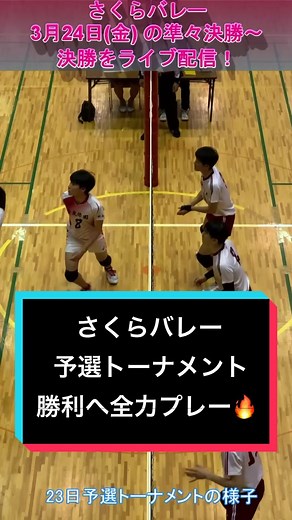熱戦続く#さくらバレー 24日の準々決勝〜決勝を毎日新聞デジタルでライブ配信予定✨特集ページ→https://mainichi.jp/sakura-volley2023 #バレー #バレーボール #女バレ #高校バレー #バレーボール女子 #女子バレーボール #バレー部 #男バレー #男子バレー