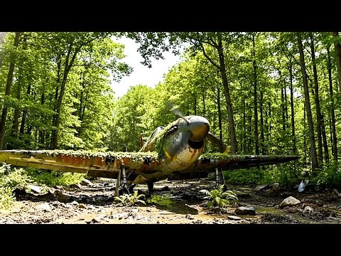 Restoring an Abandoned WWII Curtiss P‑40 Warhawk — Full Restoration | Abandoned Warbird Rebuild