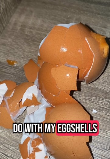 Go2Girl_Limited on TikTok