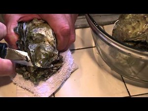 Grilled Oysters on the Half Shell