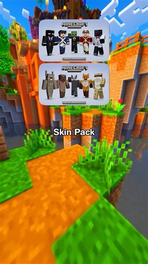 Which Minecraft Skin Pack is Better #minecraft #gaming #shorts #minecraftshorts #parkour
