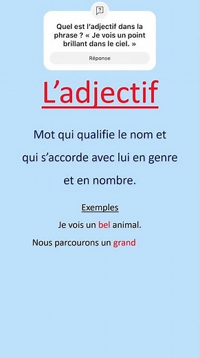 L’adjectif qualificatif 🔵👨🏻‍🏫🎓 #francais #grammaire #adjectifs
