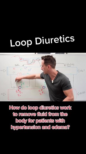 How do Loop Diuretics work?! #meded #medtiktok #health #heart #renal #kidney #diuretics #pee #medicine #nursing
