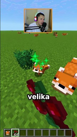 Minecraft Fox Update