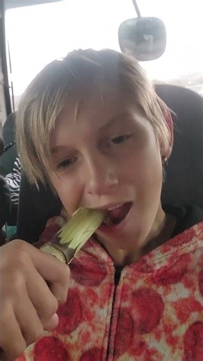 Teaching an American how to eat Sugar cane 😊🤣😱